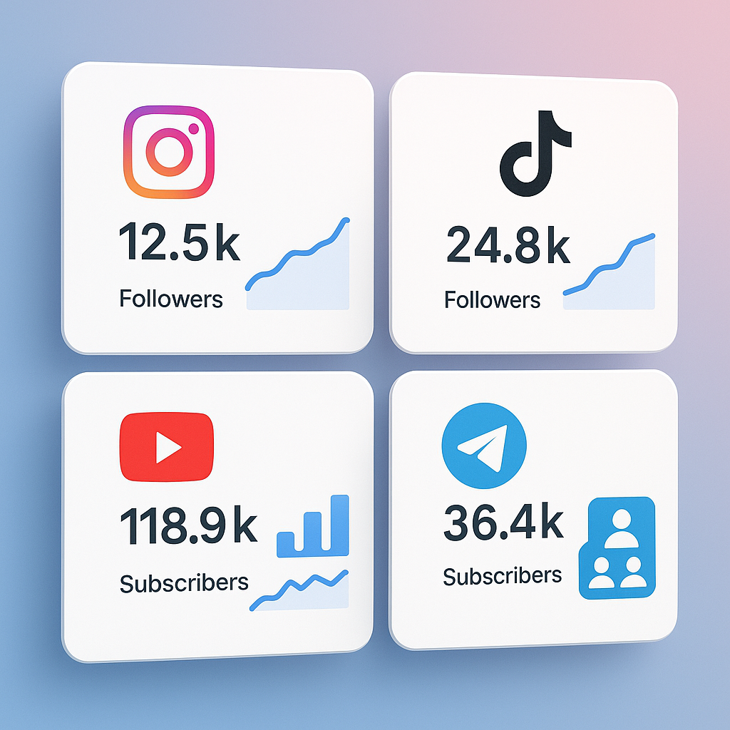 Choosing the Best TikTok Views SMM Panel for Your Needs
