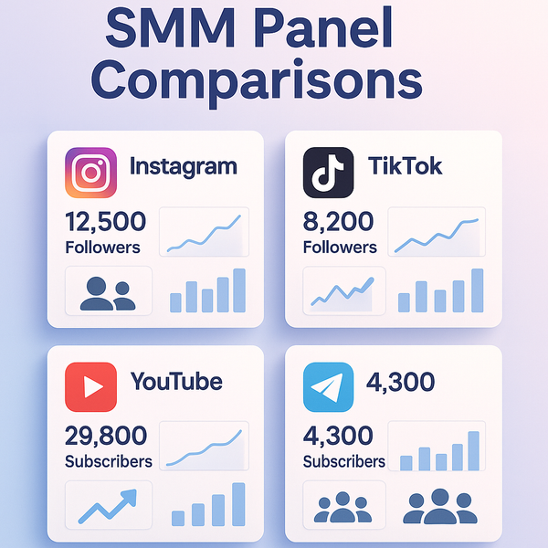 Choosing the Best TikTok Views SMM Panel in UAE