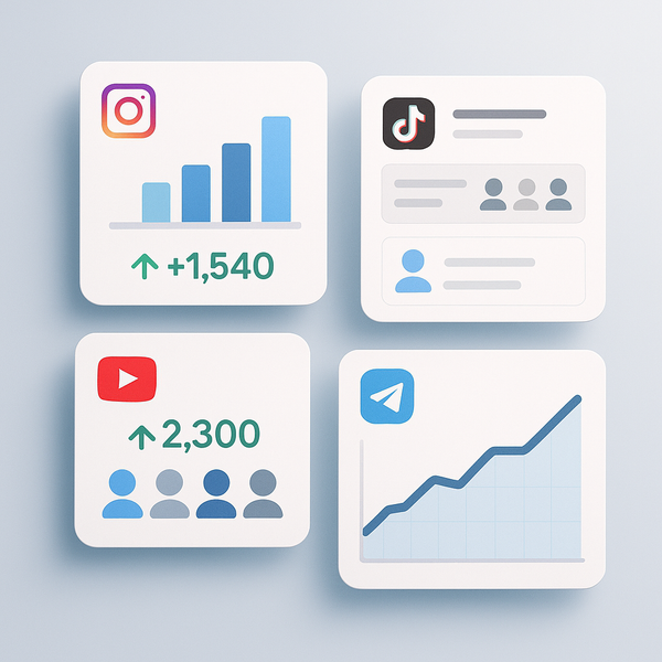 Safe SMM Panel in UAE: A Guide