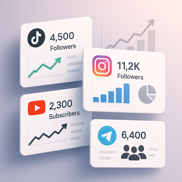 How to Choose the Best Buy Instagram Followers Panel