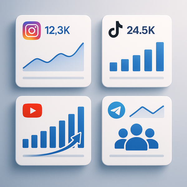 Maximize Your Reach with the Best YouTube Subscribers Panel