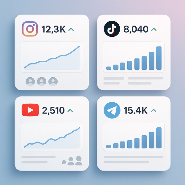 Ultimate Guide to Choosing a TikTok Views SMM Panel