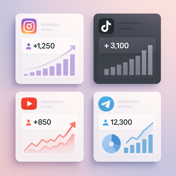 Choosing the Best TikTok Views SMM Panel
