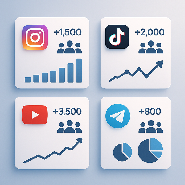 Instant Delivery SMM Panel for Social Media Growth