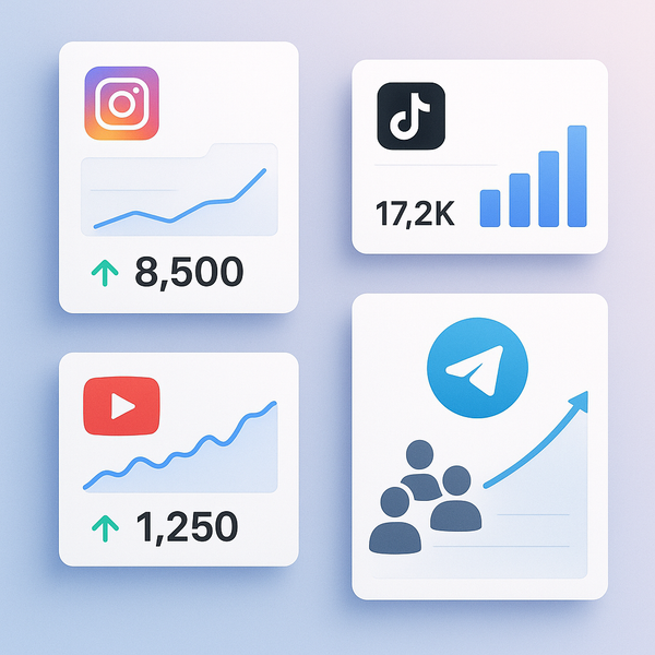 Finding the Best Refill Policy SMM Panel for Social Media Success