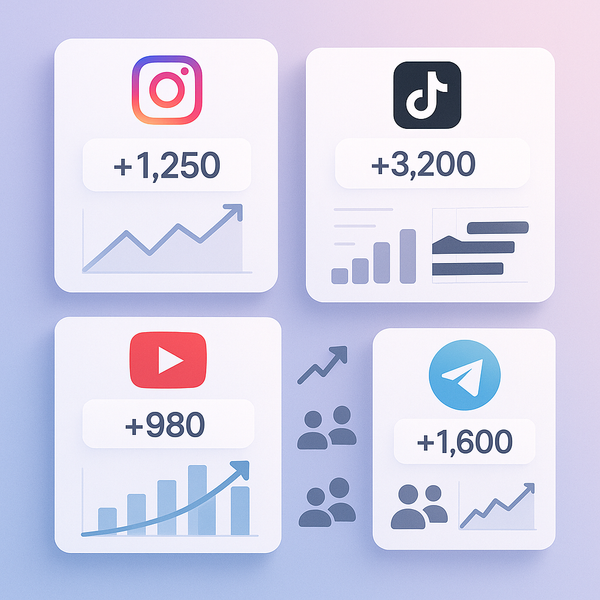 Choosing the Best TikTok Views SMM Panel for Rapid Social Growth