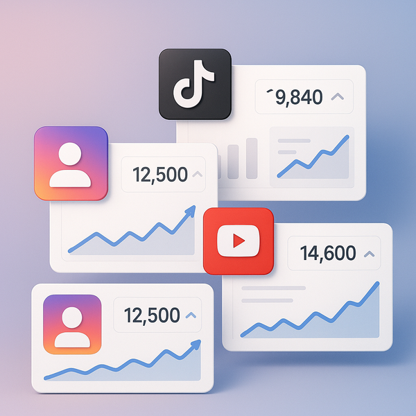 Optimizing Social Media Growth with the Best SMM Panel