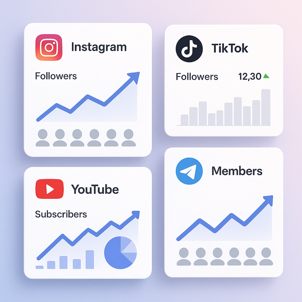 Guide to SMM Panels for USA Marketers
